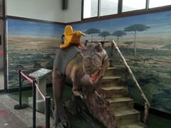 -自贡恐龙博物馆