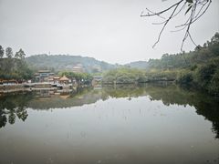 -南国桃园旅游度假区