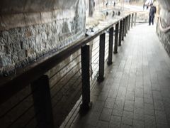 -白水寺森林公园