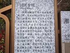 -湘湖金融镇