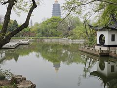 -红梅公园