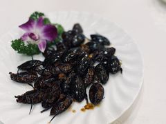 -寻味顺德·南记酒家·传统顺德菜·鱼生(广源路店)