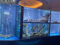 水产区-王家渡火锅店(棕榈泉店)