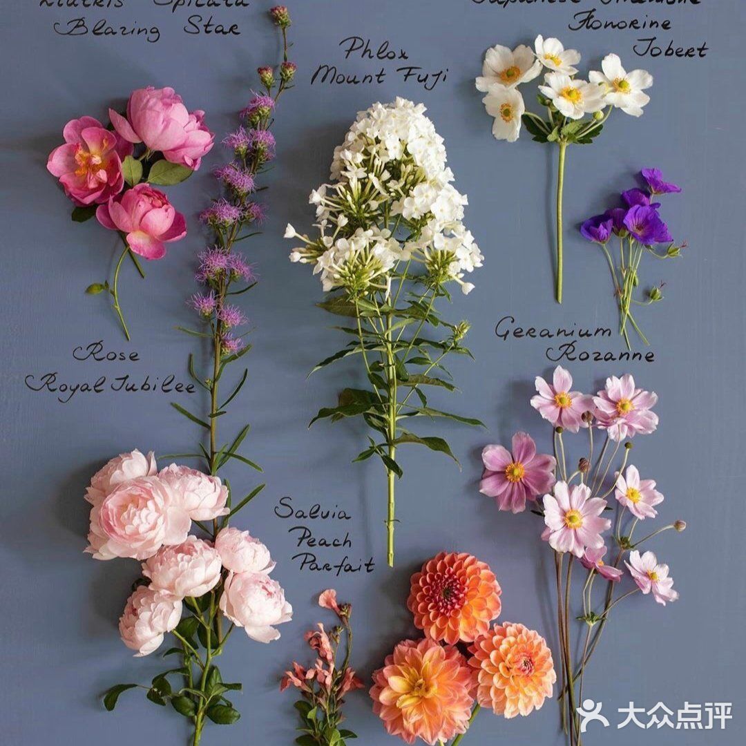 岁月如花，笑看花开，静赏花落是人生的一种极致