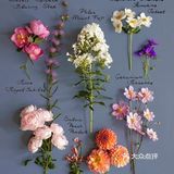 岁月如花，笑看花开，静赏花落是人生的一种极致