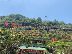 -枇杷园食为鲜火锅(南山店)