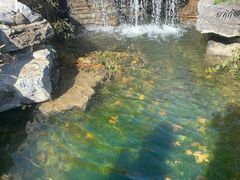 -中关村生命科学园