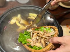 -滇野云南野生菌餐厅(陕西南路店)
