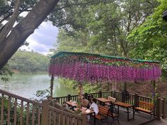 -红花湖景区