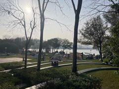 -长广溪湿地公园