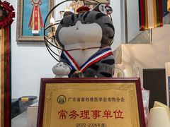 -more than meow吴止猫主题餐厅(承德 中船汇店)