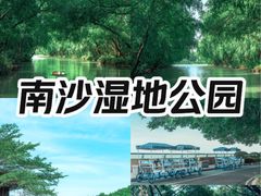 -大湾区中央湿地公园
