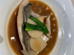 -诺莱仕游艇会