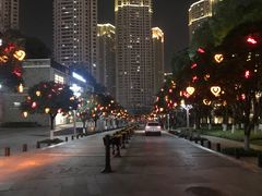 -重庆市江北嘴中央商务区中央公园