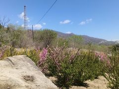 -白水寺森林公园