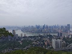 -南山植物园