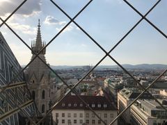 -斯蒂芬主教座堂(Stephansdom)