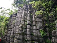 -梭布垭石林景区