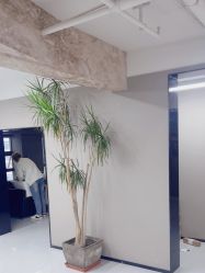 -宫铭烫发染发接发店