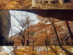 -崂山巨峰游览区