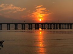 -宝安西湾红树林湿地公园