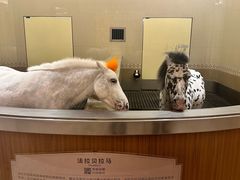 -海澜飞马水城