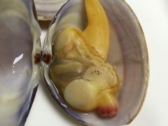 2015-01-10&nbsp;193703-贺富酒家(白藤二路分店)