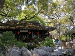 -上海醉白池公园