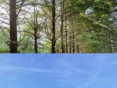 -东白山
