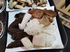 -蘑统田下·野生菌火锅