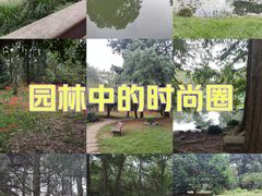 -杭州植物园