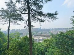 -临平公园(临平街道)