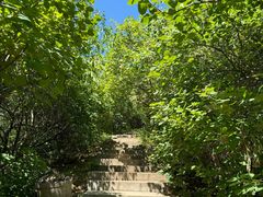 -北京西山国家森林公园