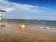 -碧海金沙