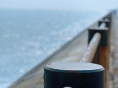 -东堤公园