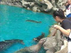 -华夏文旅海洋公园