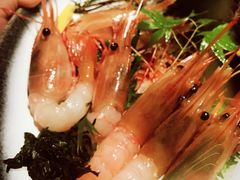 牡丹虾-千代武日本料理(爱建店)