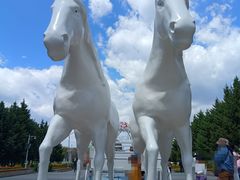 -长春公园(普阳街道)