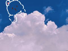 -广东惠东海龟国家级自然保护区