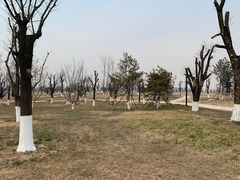 -汉长安城未央宫国家考古遗址公园