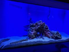 -上海海洋水族馆