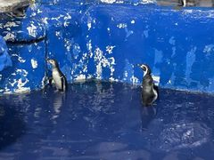 -太平洋海底世界