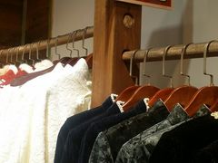 -一棵树(雨儿胡同)