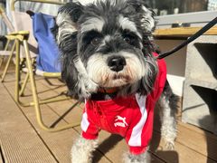 -小意思咖啡店(草桥店)