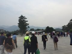 -秦始皇帝陵博物院-丽山园