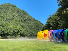 -龙湾潭国家森林公园