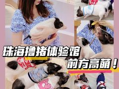 -猪盟咖啡店(玖洲道店)