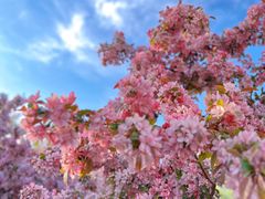 -元大都城垣遗址公园