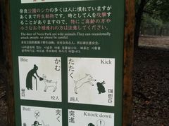 -奈良公园