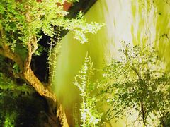-苏州文旅花间堂·探花府酒店